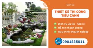 thiết kế thi công tiểu cảnh