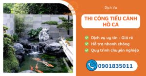thiết kế thi công tiểu cảnh hồ cá