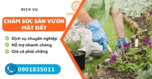 chăm sóc vườn mặt đất