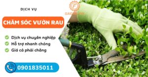 Chăm sóc vườn rau