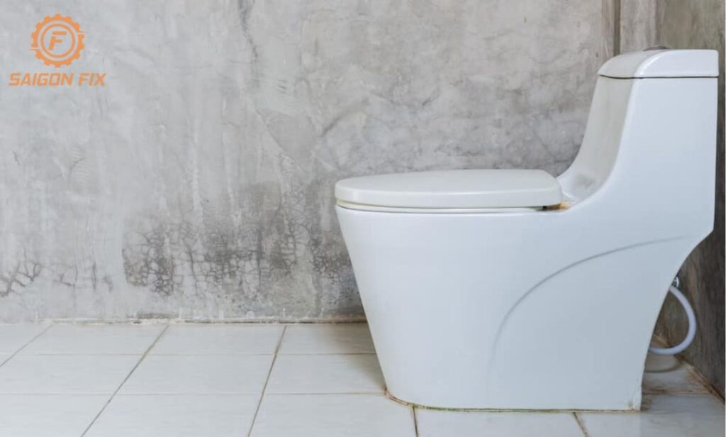 Lắp đặt bồn cầu 1 khối